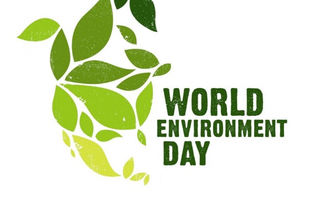 Παγκόσμια ημέρα περιβάλλοντος 2019